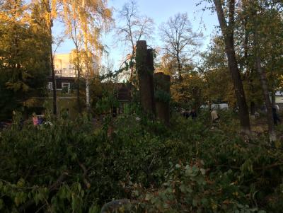 Прикрепленное изображение: IMG_0887.JPG